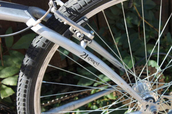 Schwinn Skyliner Mountain Bike