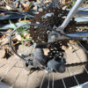 Schwinn Skyliner Mountain Bike
