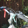 Schwinn Skyliner Mountain Bike