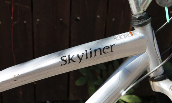 Schwinn Skyliner Mountain Bike