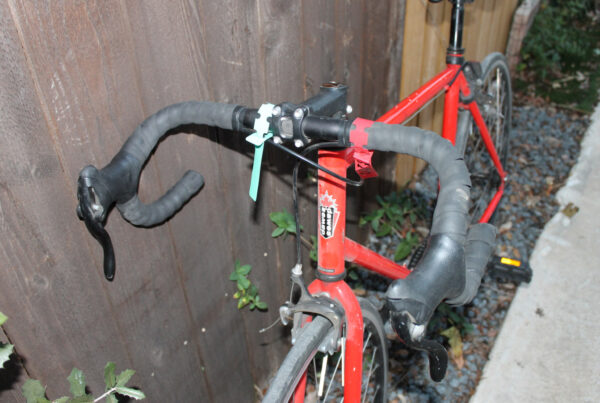 Dawes Fixie Track Bike