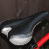 Dawes Fixie Track Bike