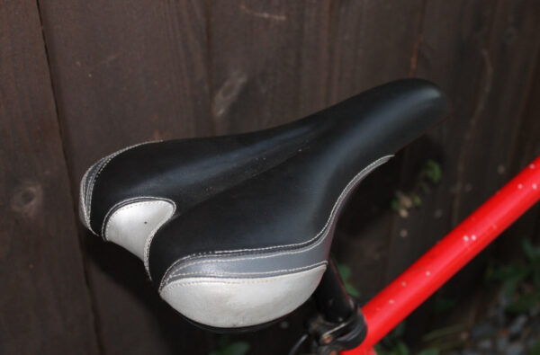 Dawes Fixie Track Bike