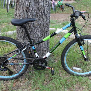 Guardian Ethos 24" Kids Bike - 0036