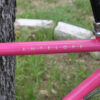 Trek Antelope Mountain Bike - 0040