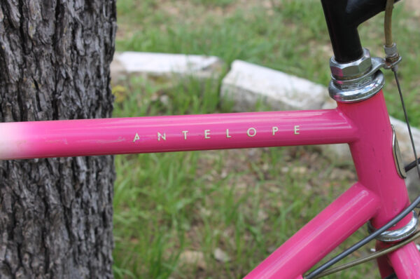 Trek Antelope Mountain Bike - 0040