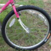 Trek Antelope Mountain Bike - 0040